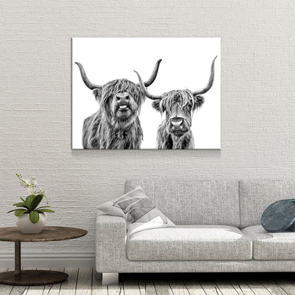 Highland Cows Canvas Wall Art, Black And White Farmhouse Decor