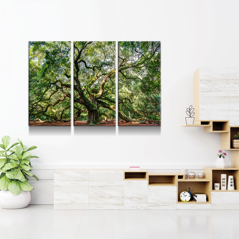 Angel Oak Tree 3-Piece Canvas Wall Art, Southern Live Oak Print