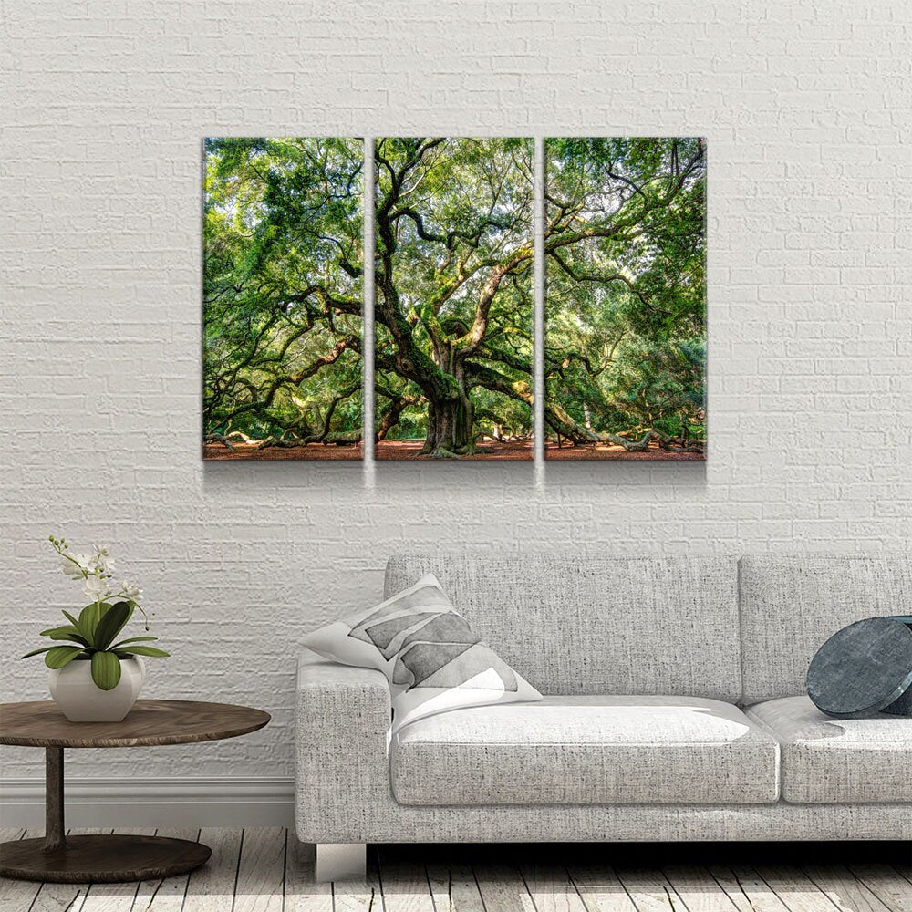Angel Oak Tree 3-Piece Canvas Wall Art, Southern Live Oak Print