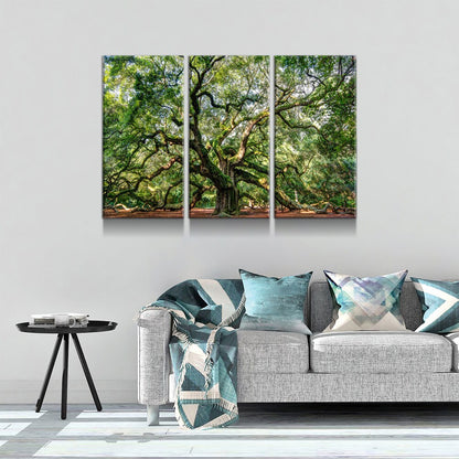 Angel Oak Tree 3-Piece Canvas Wall Art, Southern Live Oak Print