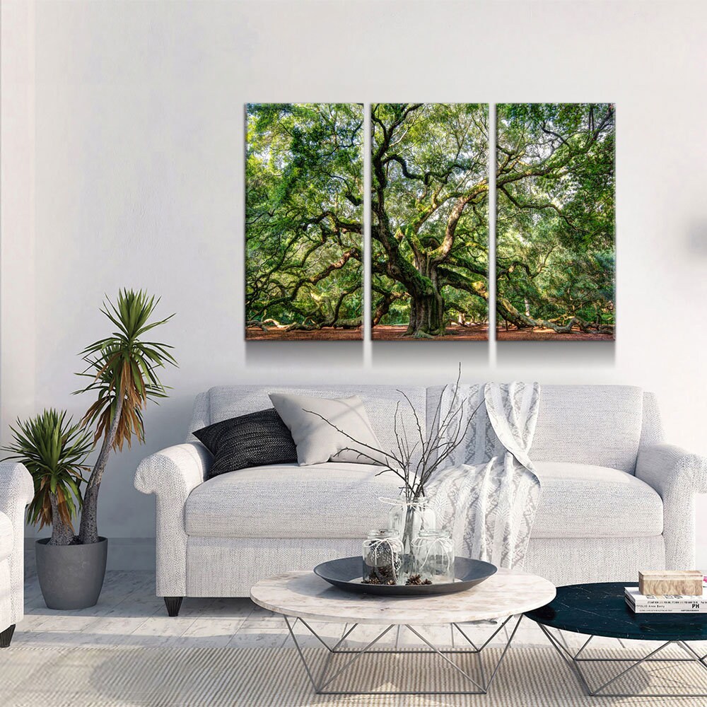 Angel Oak Tree 3-Piece Canvas Wall Art, Southern Live Oak Print