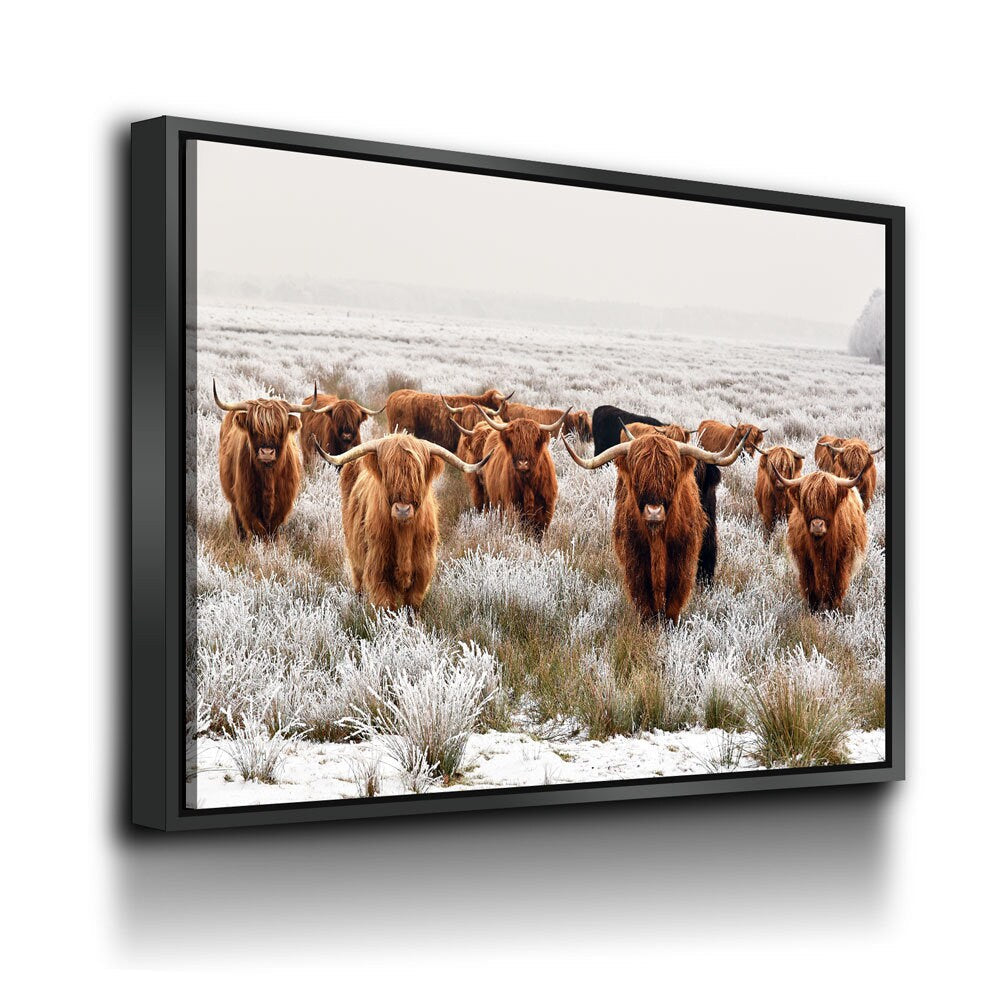 Highland Cows Canvas Wall Art, Scottish Ranch Decor