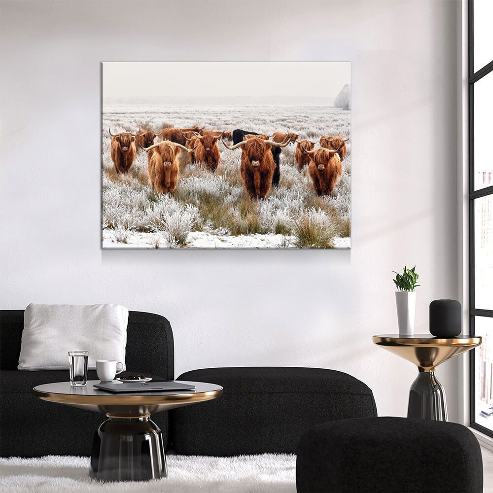 Highland Cows Canvas Wall Art, Scottish Ranch Decor
