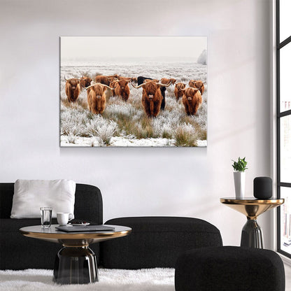 Highland Cows Canvas Wall Art, Scottish Ranch Decor
