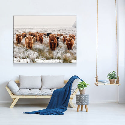 Highland Cows Canvas Wall Art, Scottish Ranch Decor