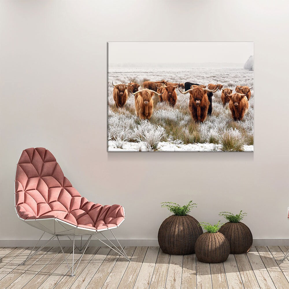 Highland Cows Canvas Wall Art, Scottish Ranch Decor