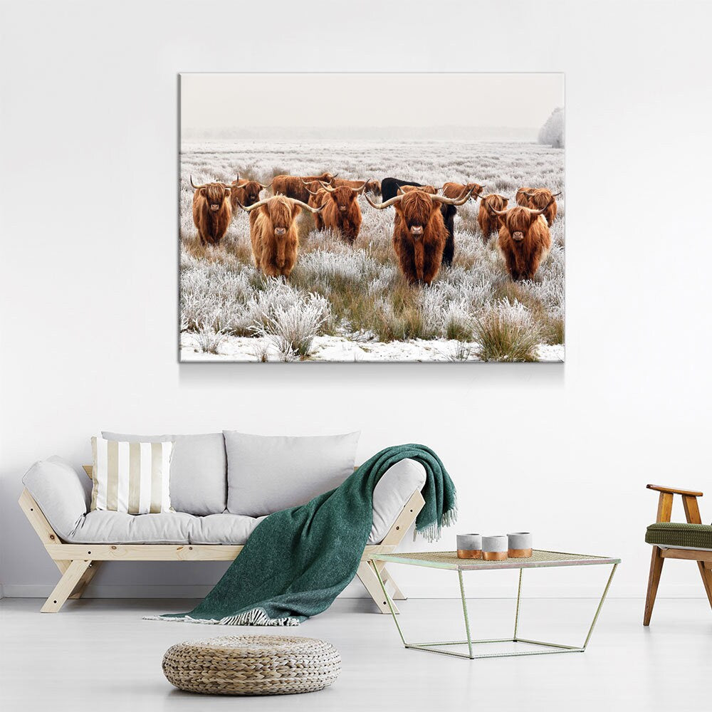 Highland Cows Canvas Wall Art, Scottish Ranch Decor