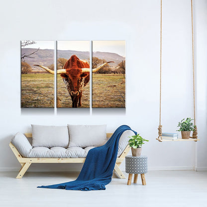 Texas Longhorn Canvas Wall Art, Multi-Panel Ranch Set