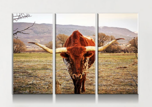 Texas Longhorn multi-panel canvas wall art set in a large living room