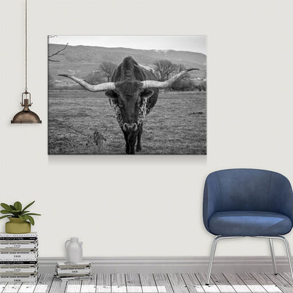 Texas Longhorn Black & White Canvas Wall Art