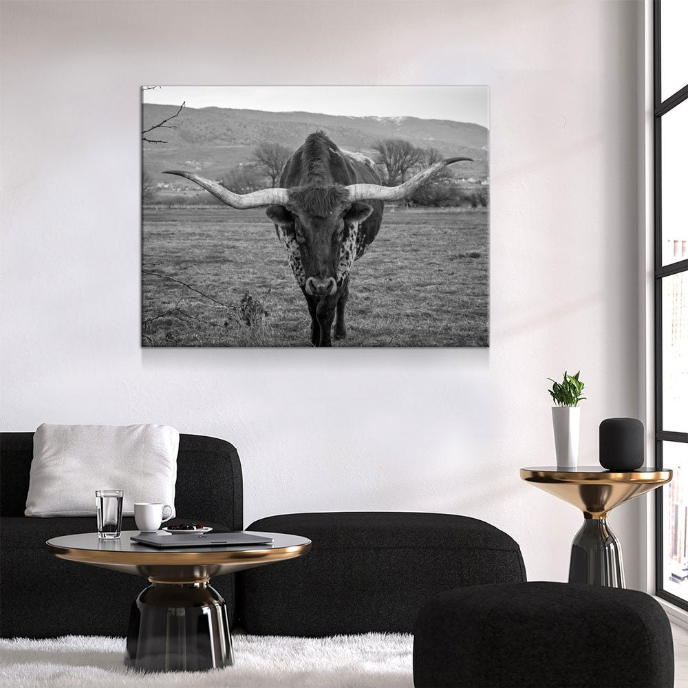Texas Longhorn Black & White Canvas Wall Art