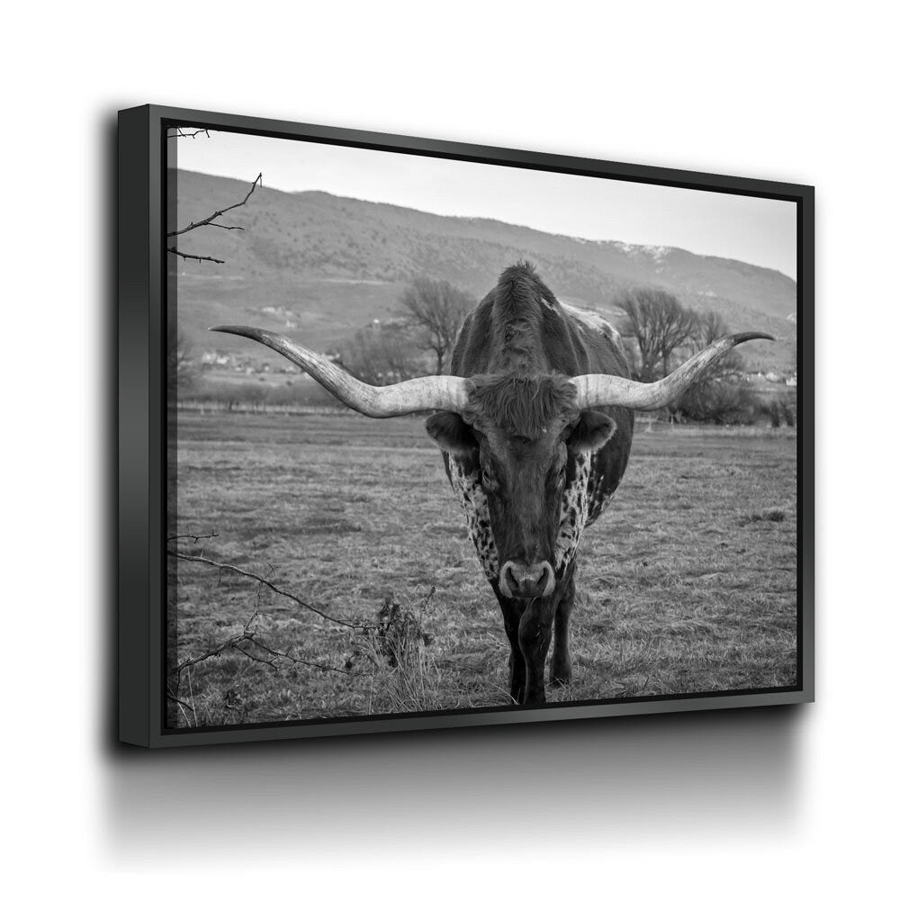 Texas Longhorn Black & White Canvas Wall Art