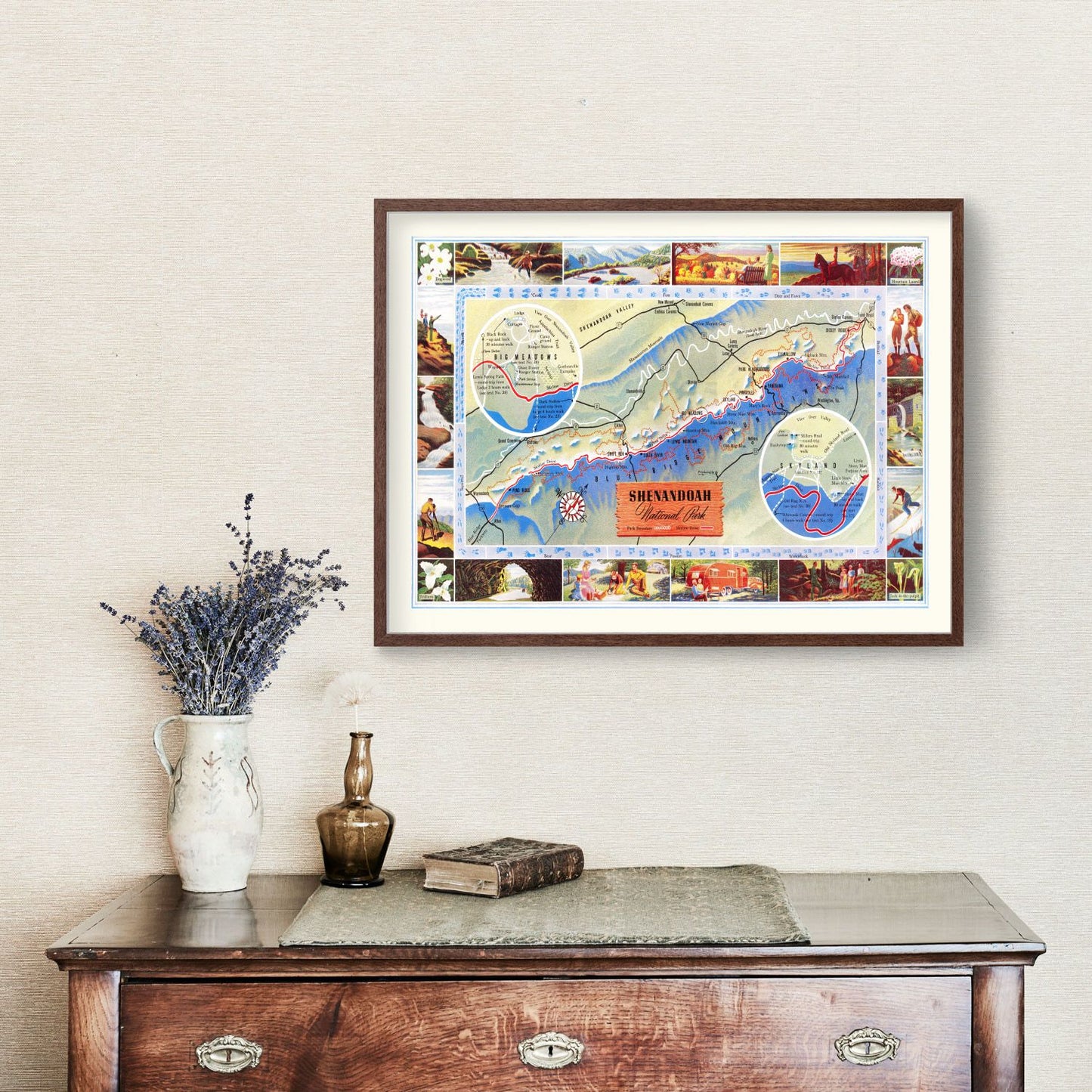 Vintage Map of Shenandoah National Park, Virginia, 1947