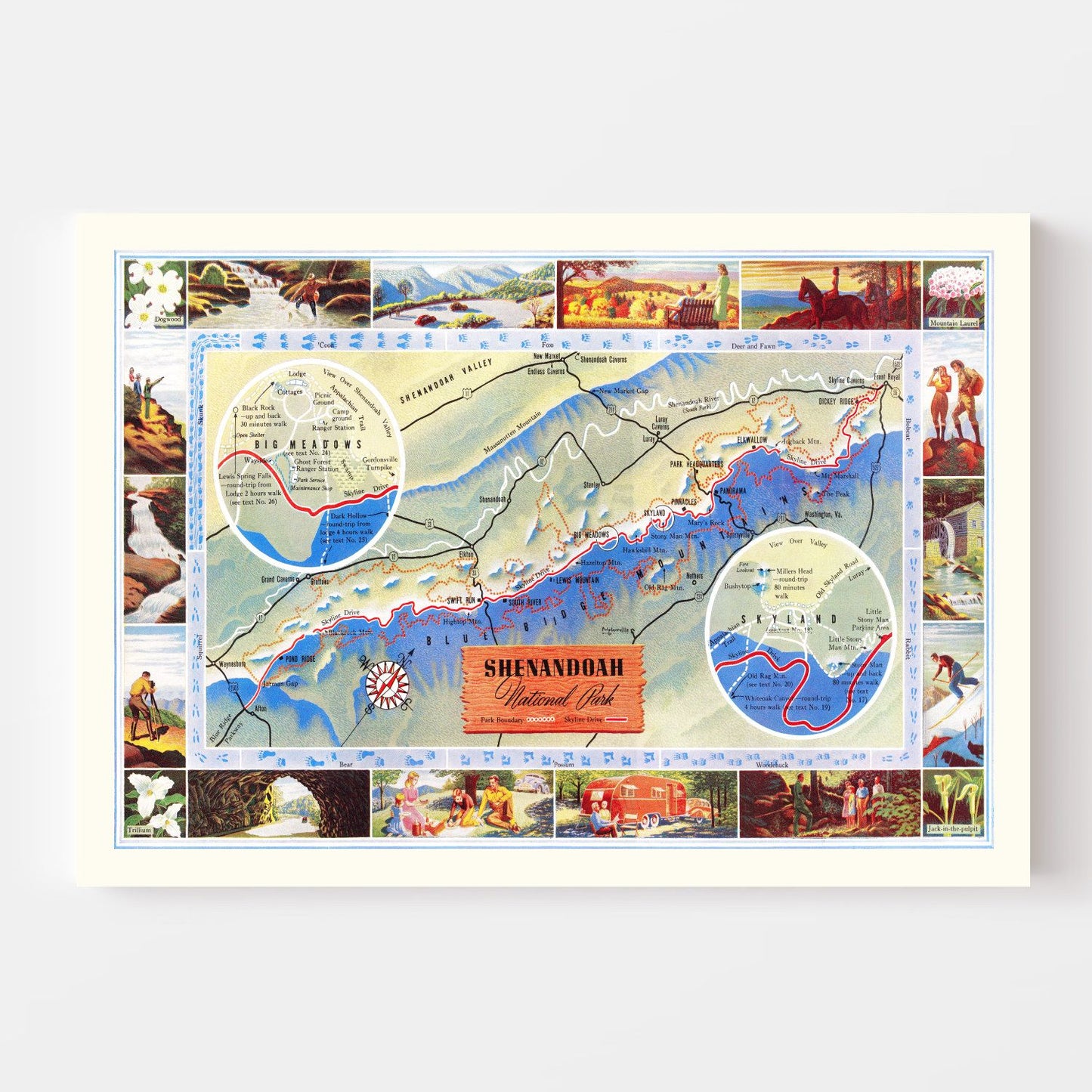 Vintage Map of Shenandoah National Park, Virginia, 1947