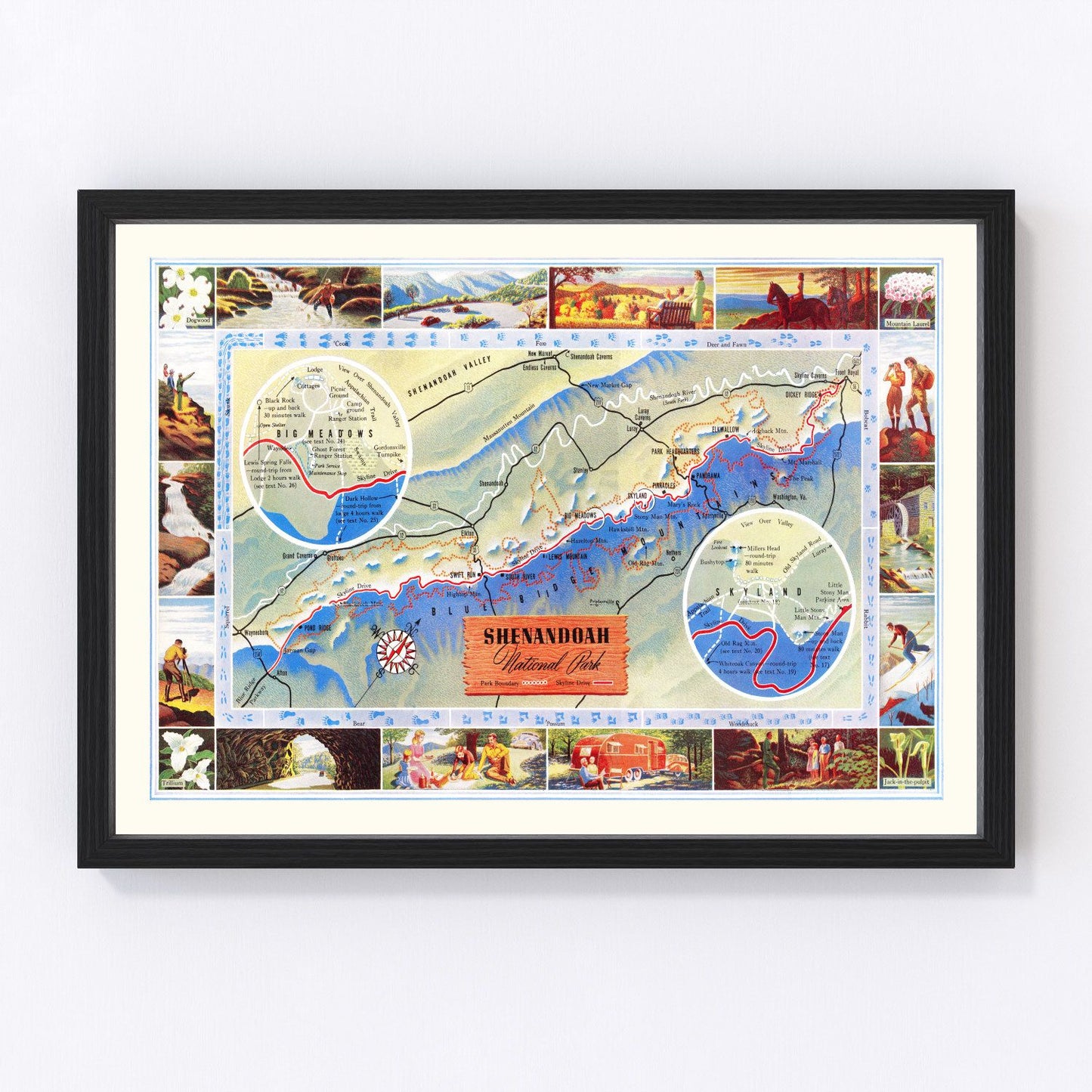vintage map of Shenandoah National Park, Virginia, 1947