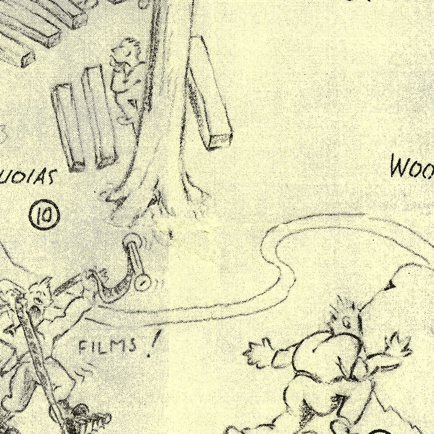 Vintage Map of Sequoia National Park, 1945