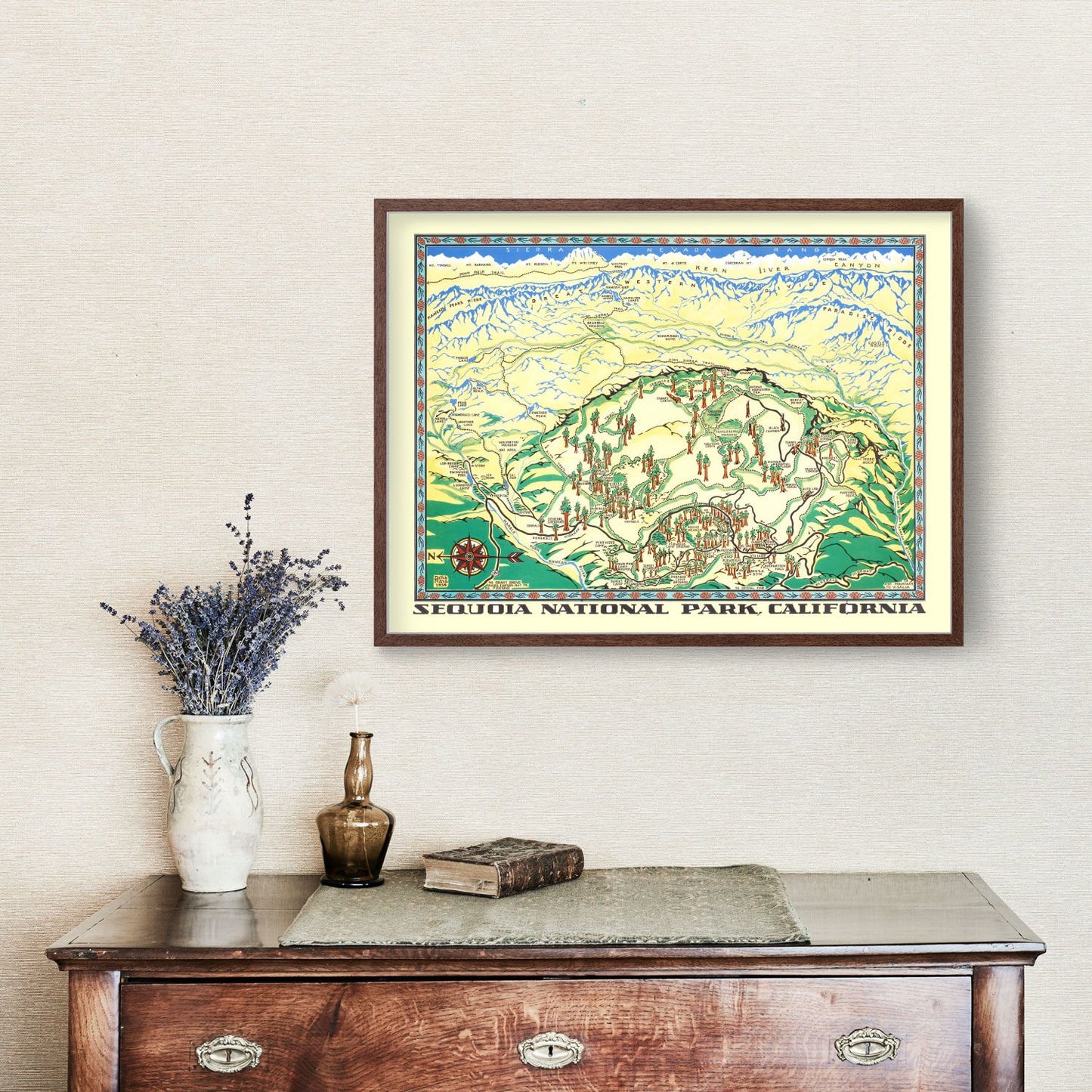 Vintage Map of Sequoia National Park, 1954