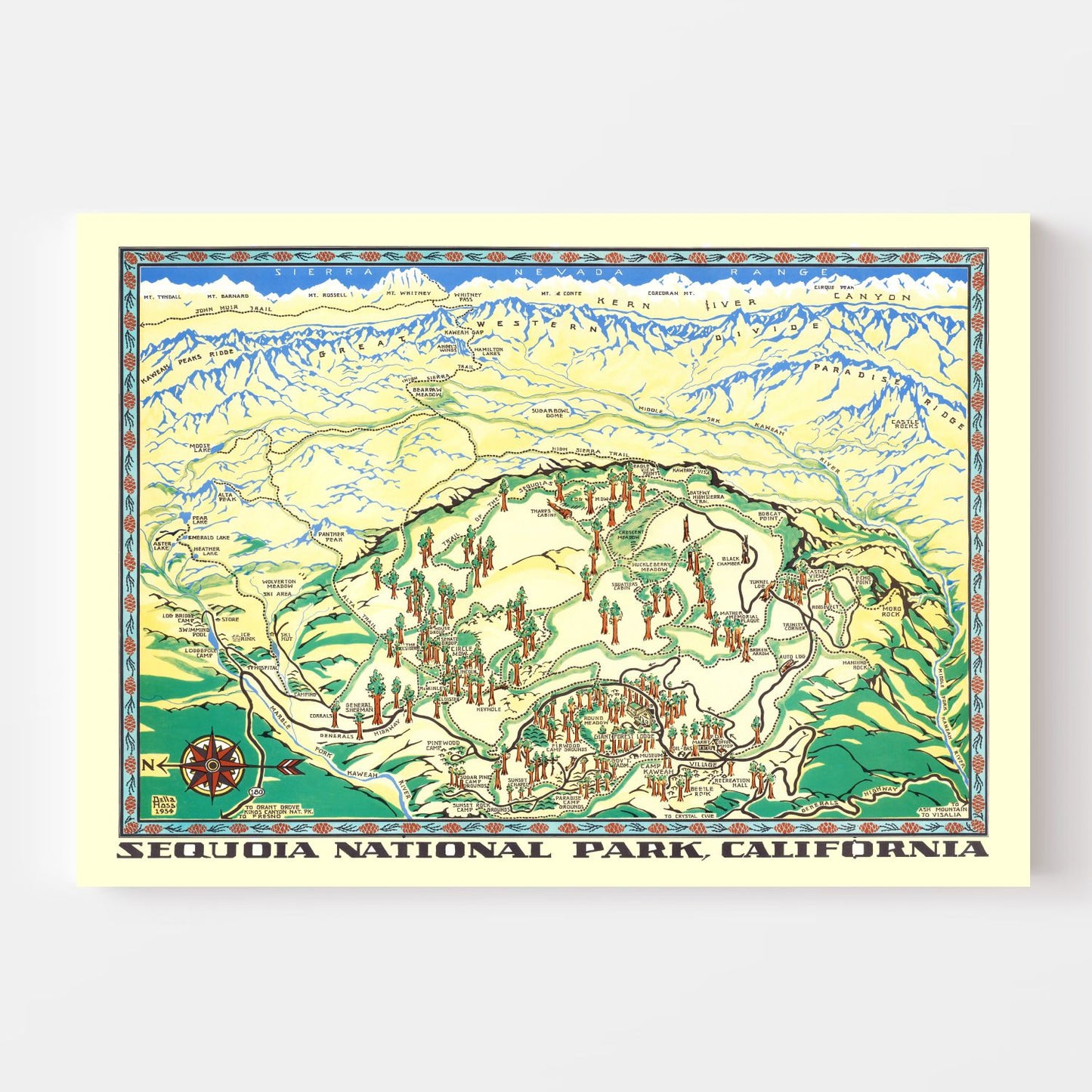 Vintage Map of Sequoia National Park, 1954