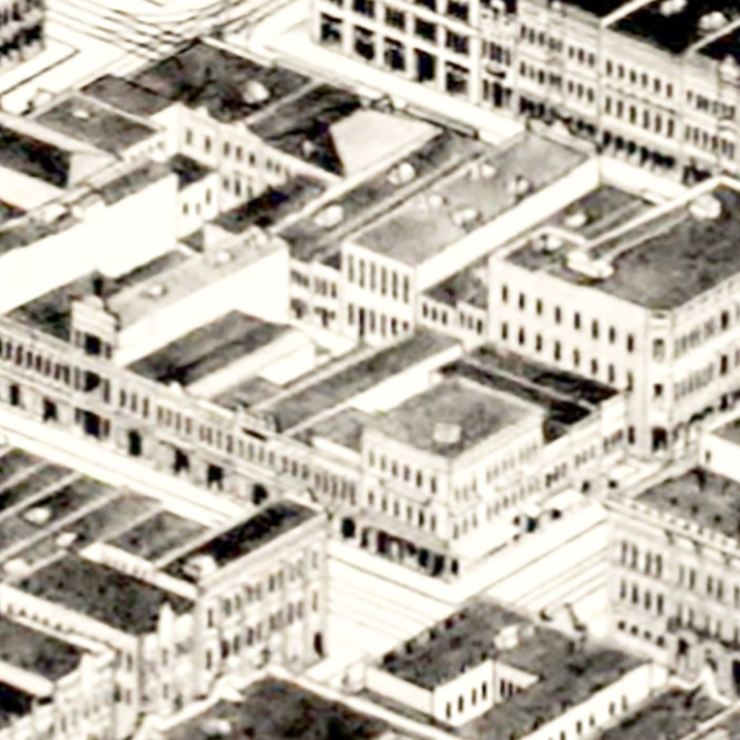 Vintage Map of Birmingham, Alabama, 1903