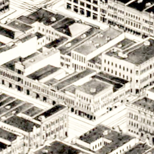 Vintage Map of Birmingham, Alabama, 1903