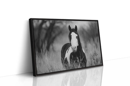 Wild Hearts Run Free Black and White Horse Wall Art