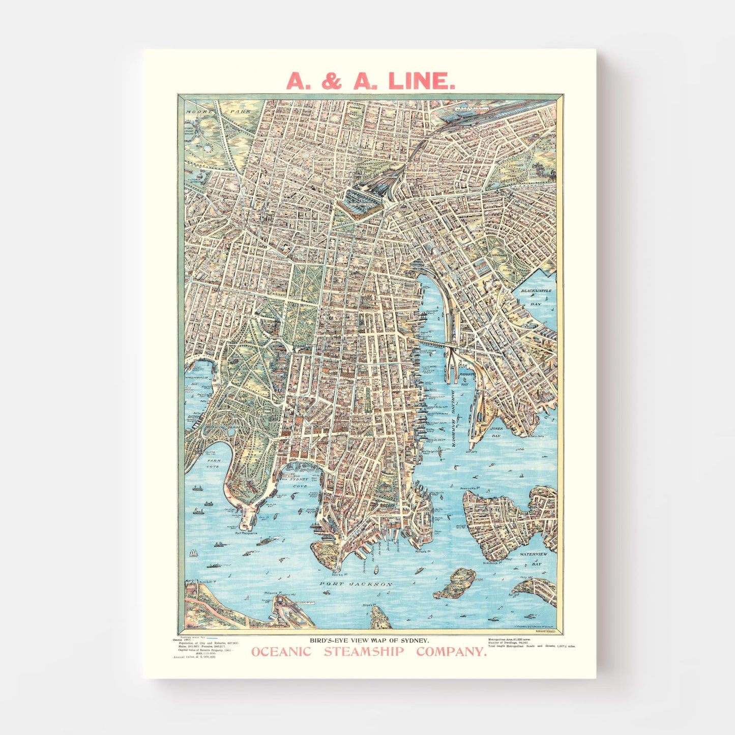 Vintage Map of Sydney, Australia, 1902
