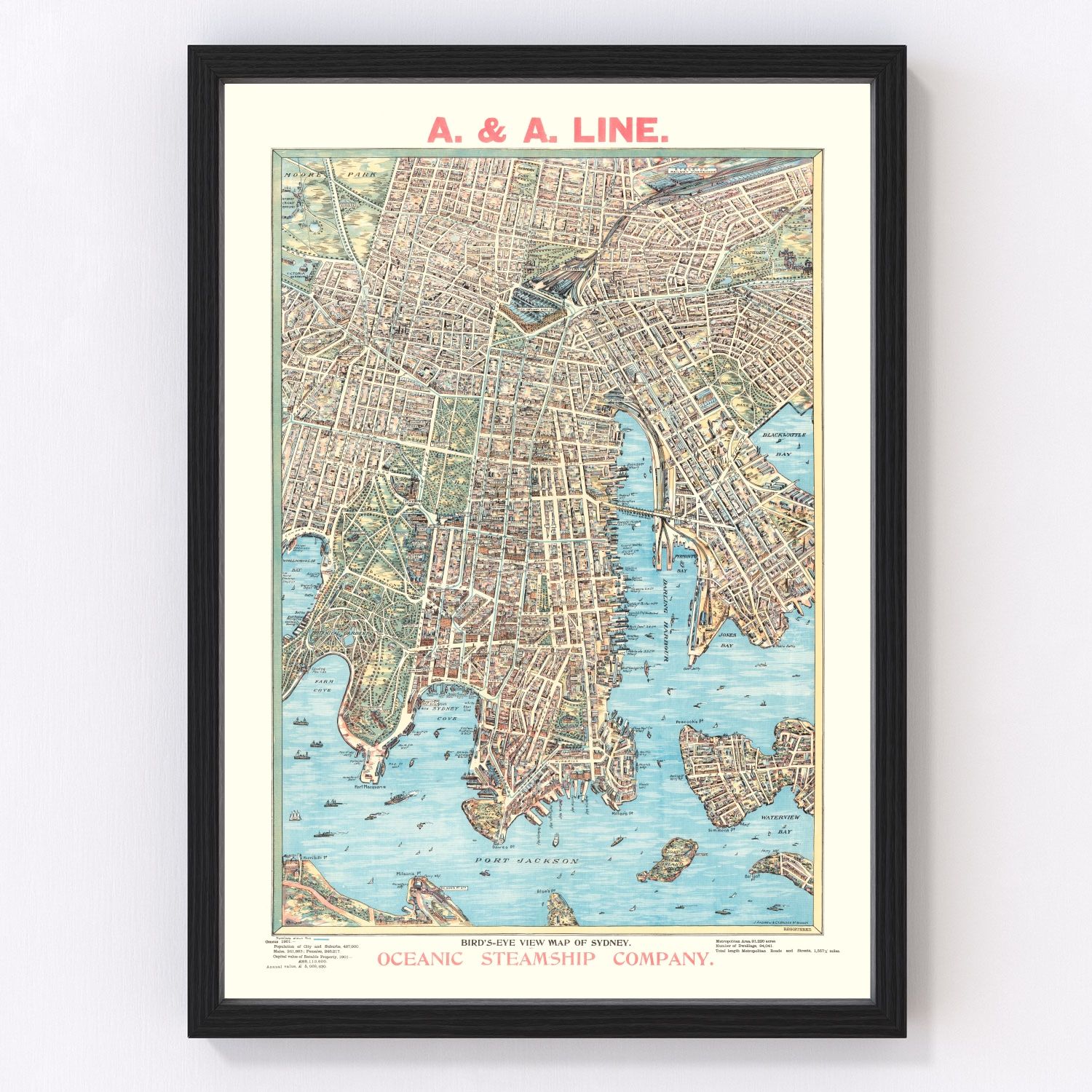 Vintage map of Sydney, Australia, 1902