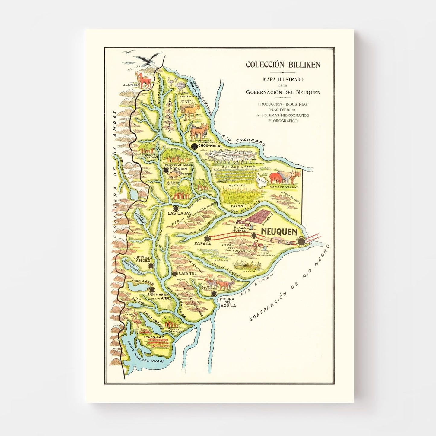 Vintage Map of Neuquen, Argentina, 1933