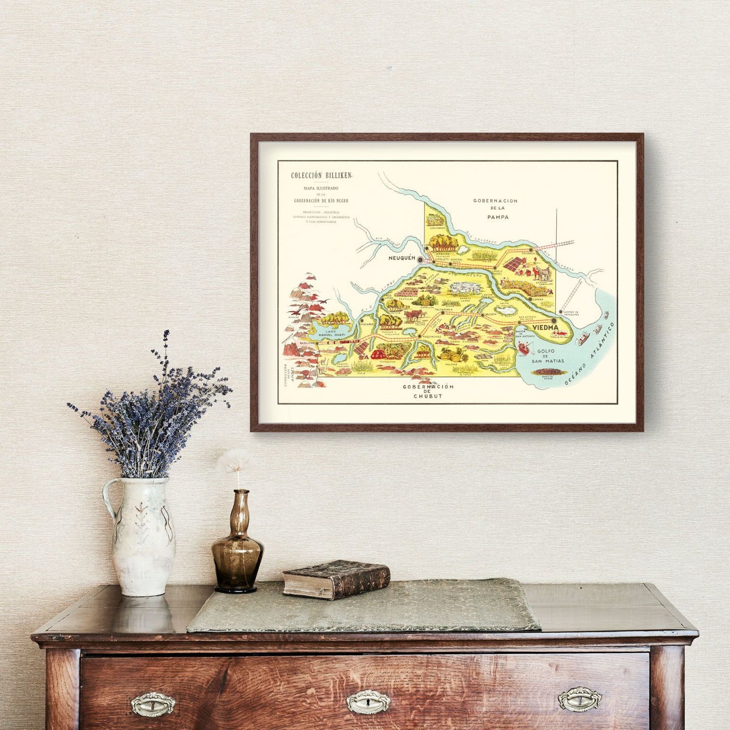 Vintage Map of Rio Negro, Argentina, 1933