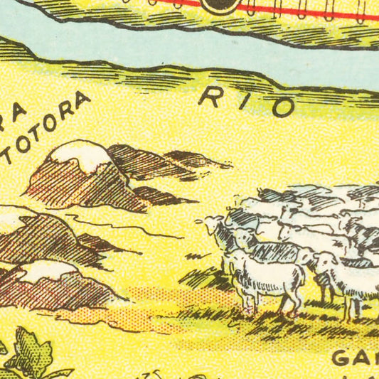 Vintage Map of Rio Negro, Argentina, 1933