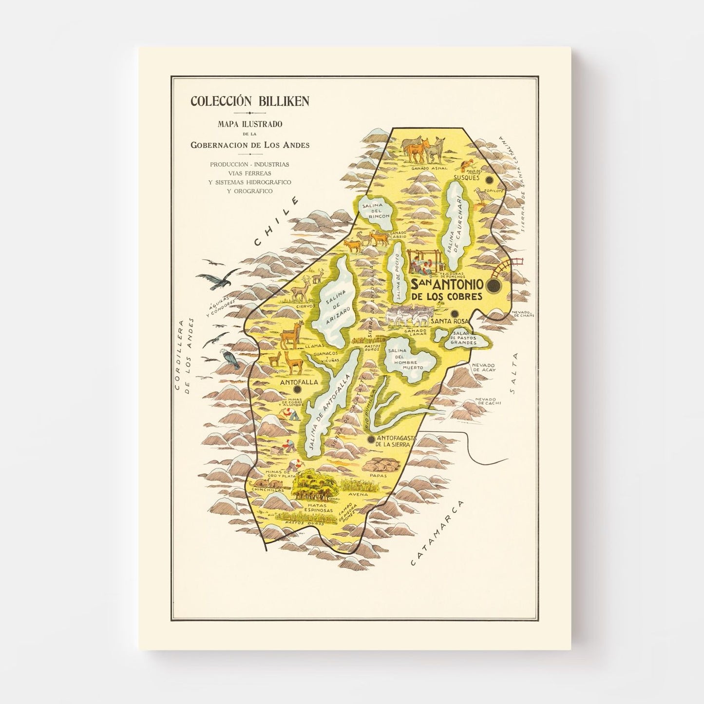 Vintage Map of the Andes Mountains, 1933