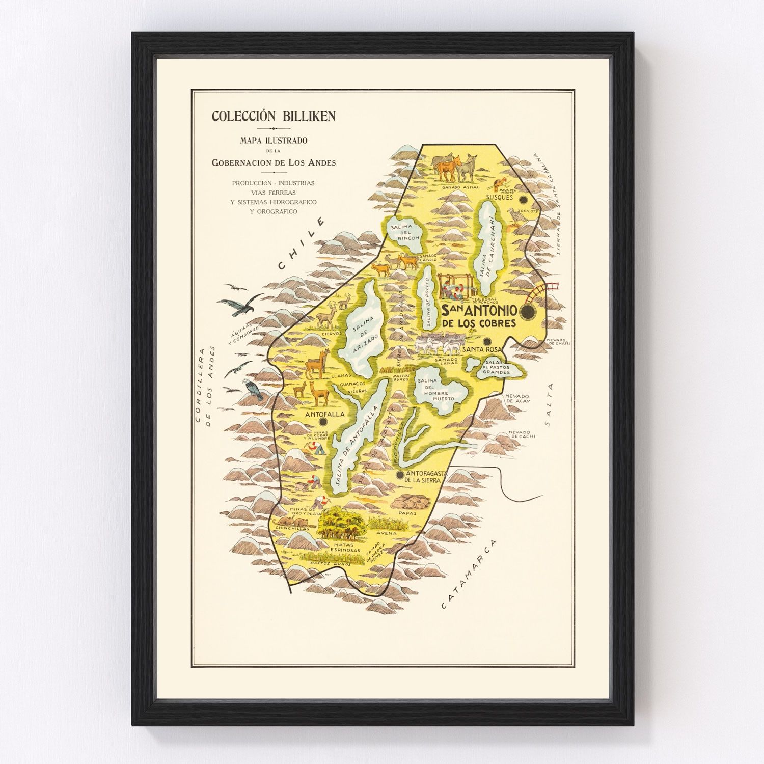 Vintage map of the Andes Mountains, 1933 - restored print