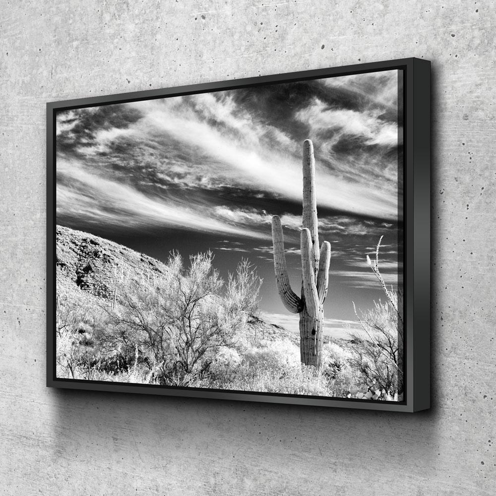 Saguaro Cactus black and white desert canvas wall art