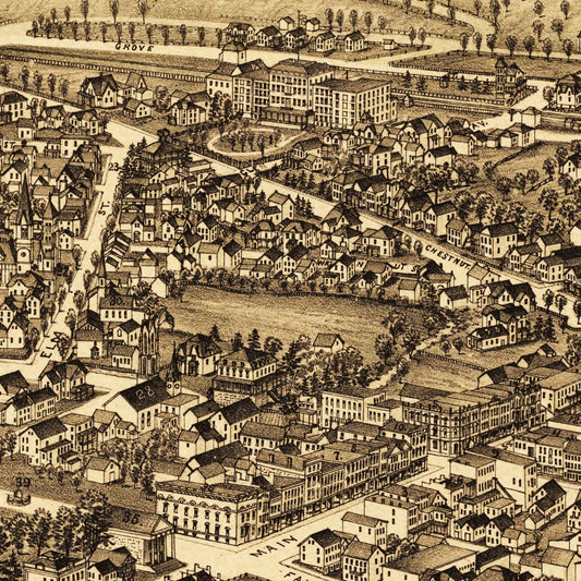 Vintage Map of Cooperstown, New York, 1890