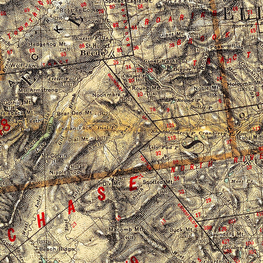 Vintage Map of Essex County, New York, 1895
