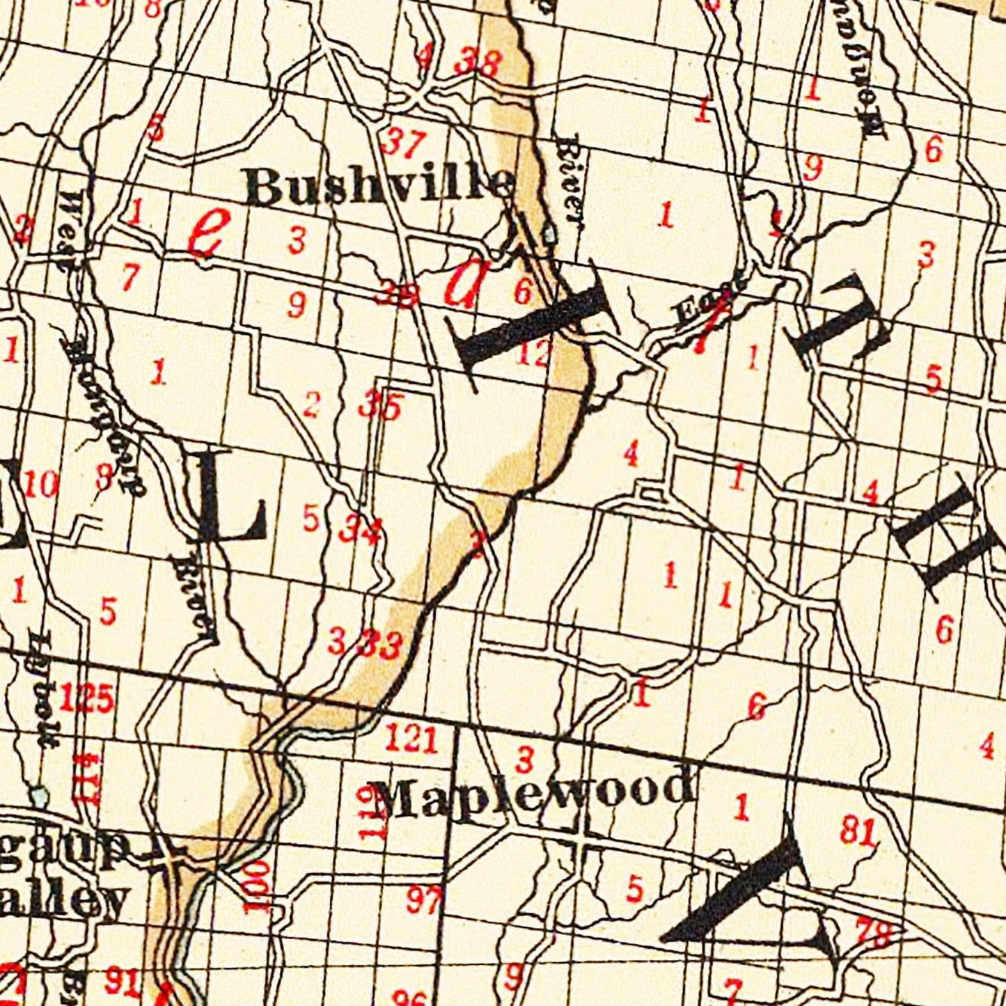 Vintage Map of Sullivan County, New York, 1895