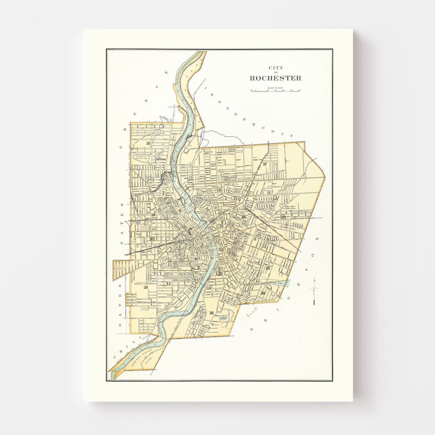 Vintage Map of Rochester, New York, 1895