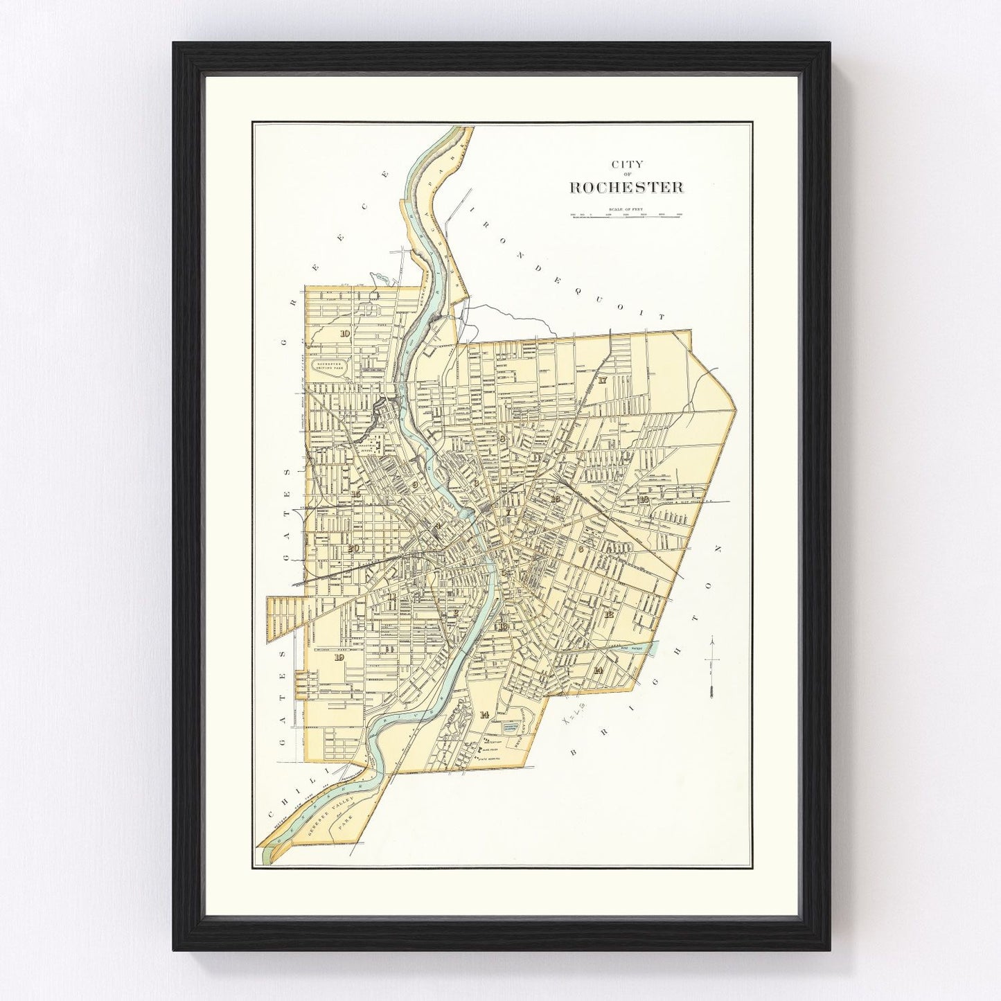 vintage map of Rochester, New York, 1895