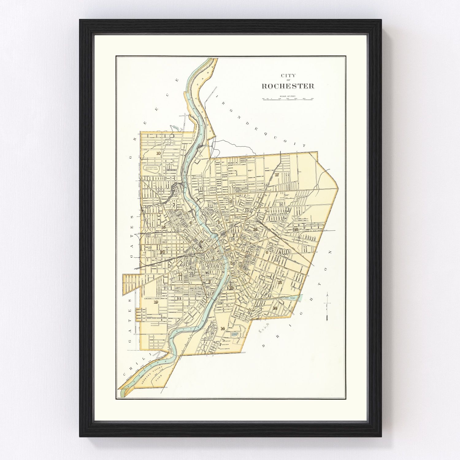 vintage map of Rochester, New York, 1895