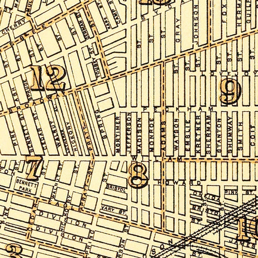 Vintage Map of Buffalo, New York 1895