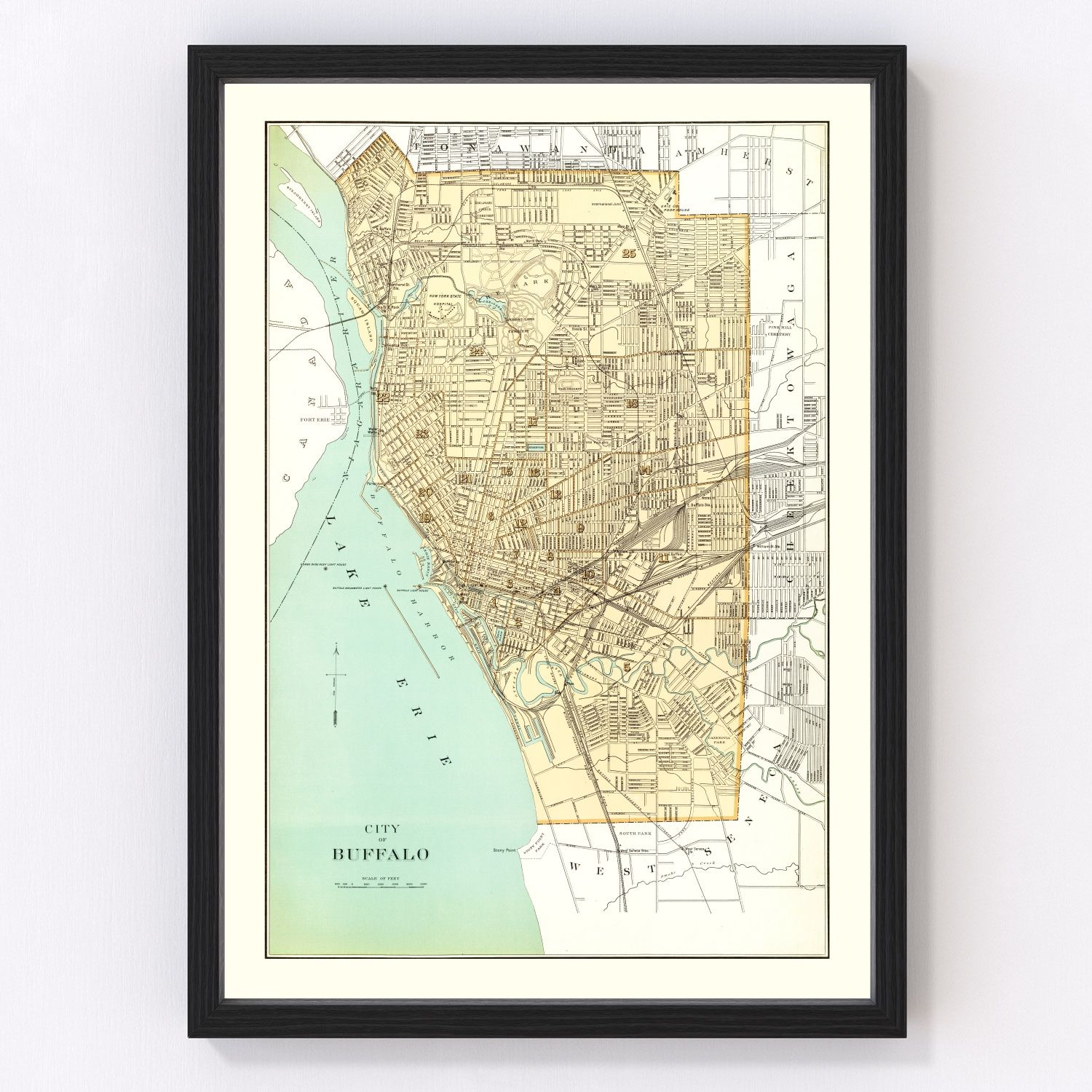 Vintage map of Buffalo, New York, 1895