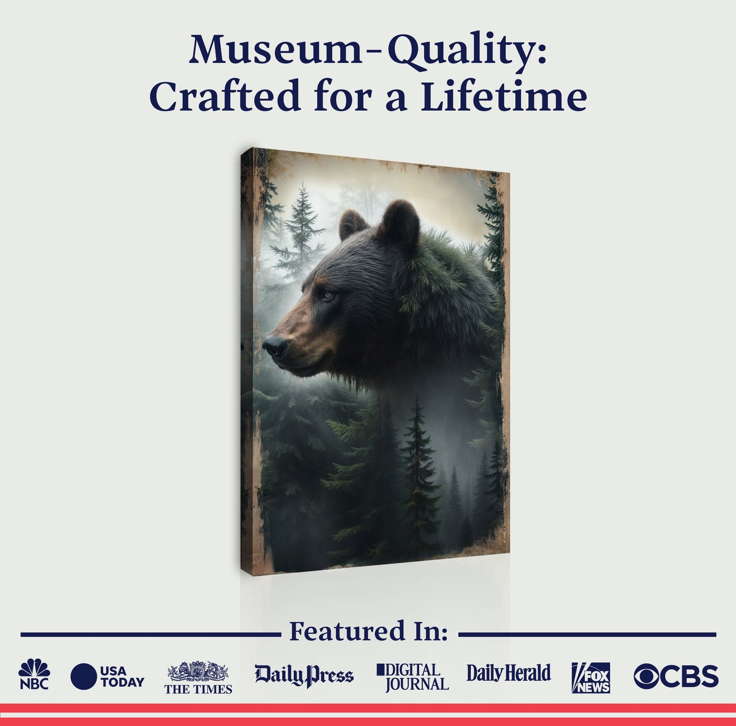 Black Bear Exposure Canvas Wall Art