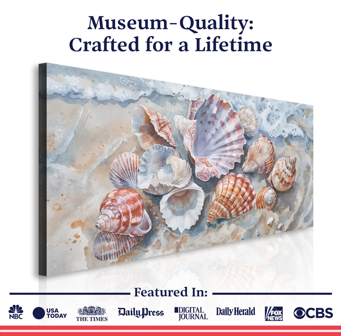 Sea Shells Modern Coastal Canvas Wall Art