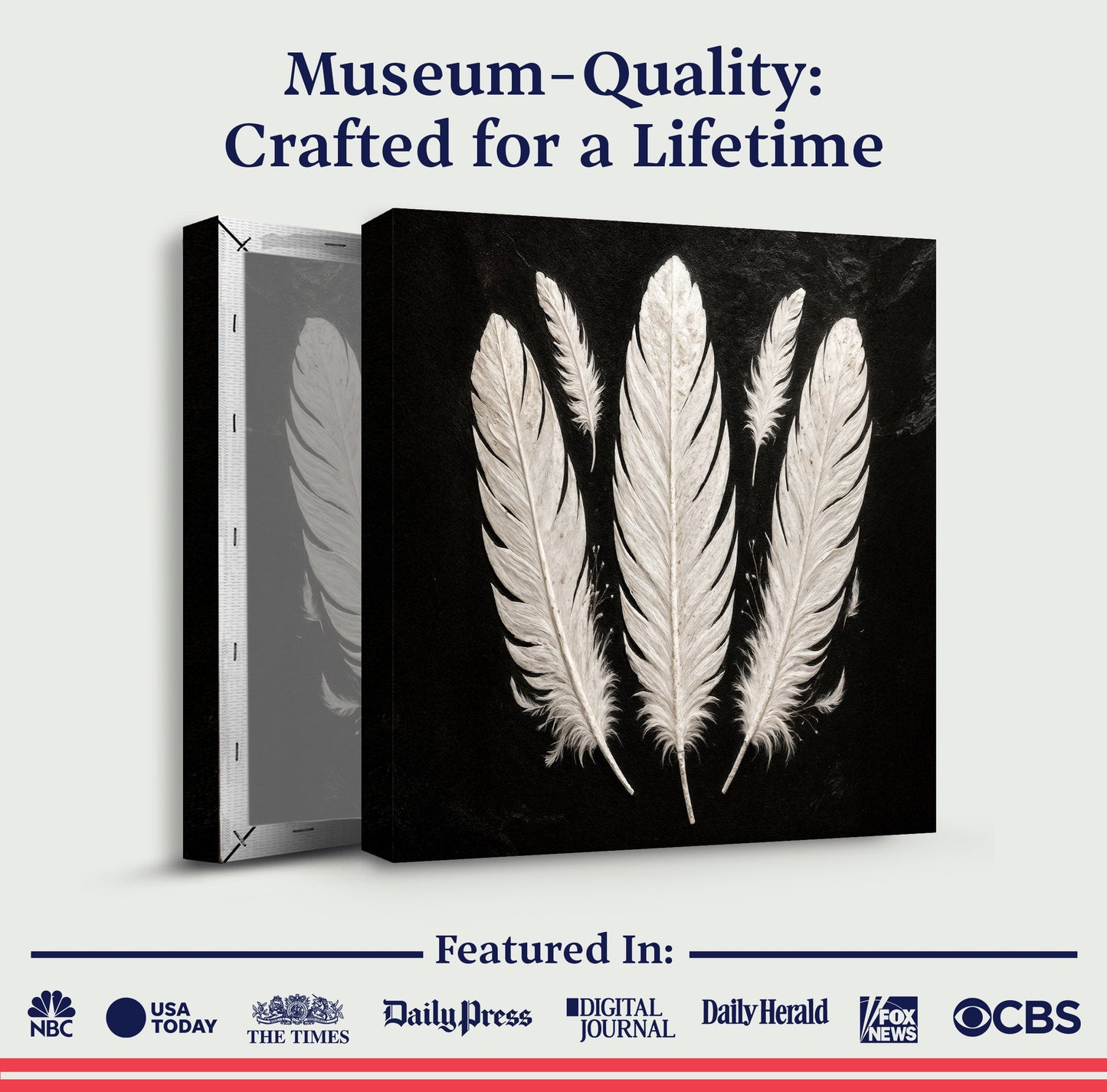 Minimalist Monochrome Feather Canvas Wall Art