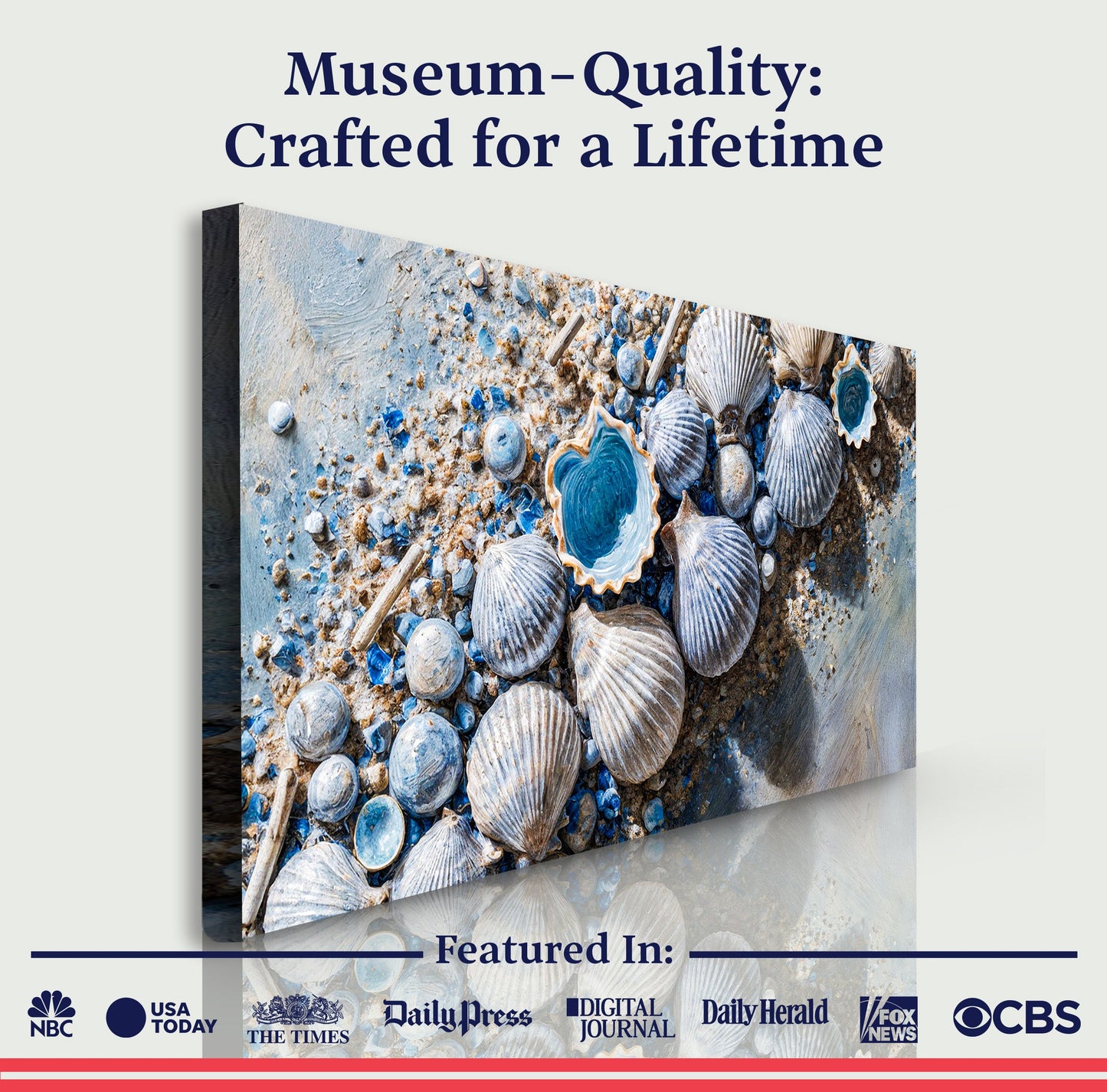 Sea Shells Modern Coastal Canvas Wall Art II