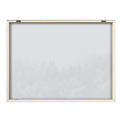 Lush Green Forest Foggy Day Framed Glass Wall Art