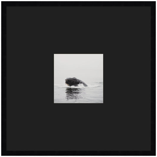 Humpback whale matted framed wall art print, ocean decor