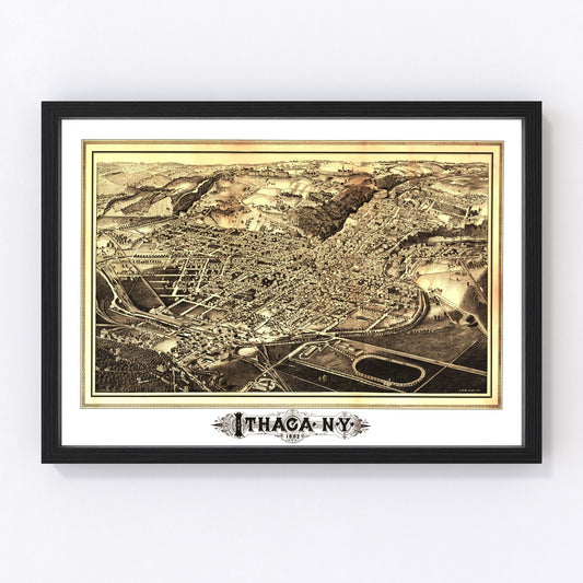 Vintage map of Ithaca, Tompkins County, New York, 1882