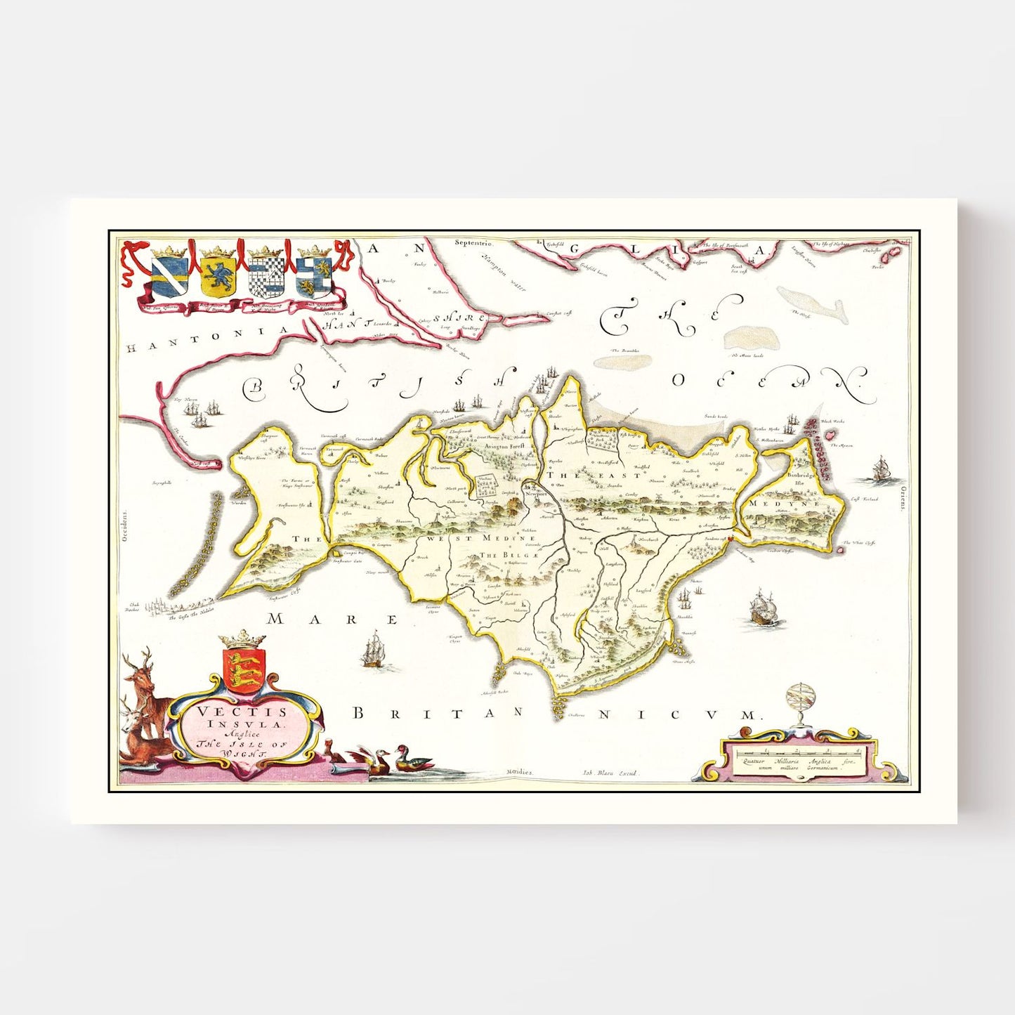 Vintage Map of the Isle of Wight, England, 1665