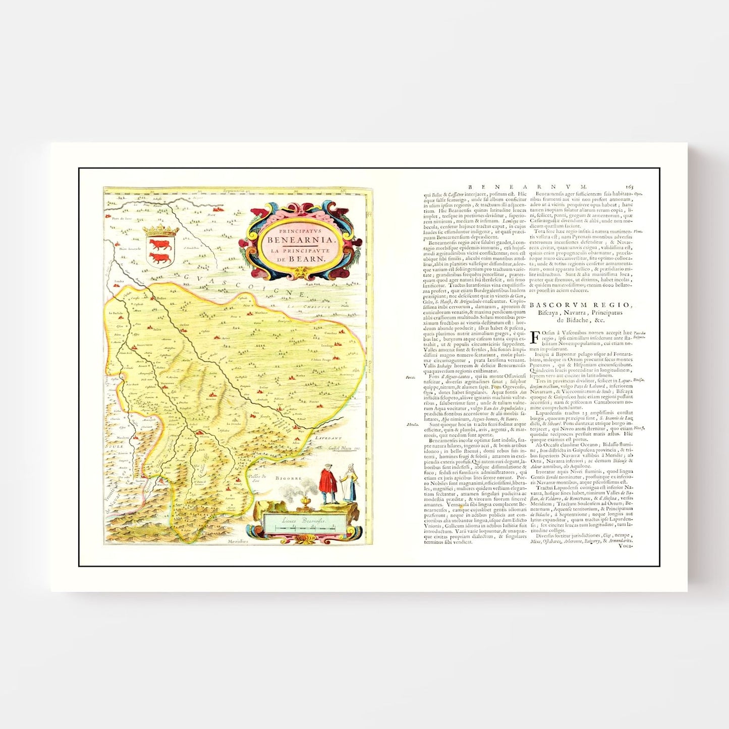 Vintage Map of Bearn, France, 1665